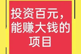 投资几百元，月入好几千的农村项目有哪些？图片