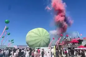 一个西瓜够50个人吃！内蒙古一瓜农种出我国最大西瓜，卖了15.8万图片