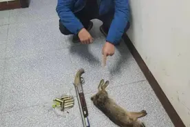 湖南三名男子捕捉一只野兔被抓！专家：为保护动物，每只300元图片