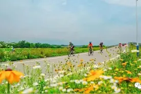 乐游崇州的“年度关键词”，你打卡了几个？图片