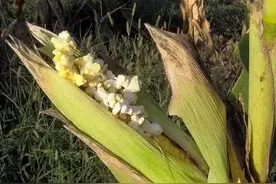 夏天运动能开空调吗？图片