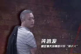 《罚罪》电视剧原型人物海南黑老大——黄鸿发案图片