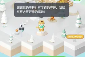 抖音生态保护项目上新！9天超千万网友参与守护东北虎图片