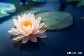 其实，你这一生过得怎样，都蕴藏在上辈子的“因果”当中图片