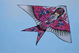 一城一镇一街，待重启 哈尔滨之春，如约而至......图片