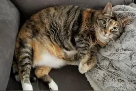 meme梗图：当我说我要去上大号时图片