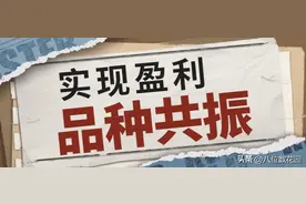 如何利用品种共振实现盈利？图片