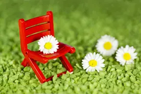 千古痴情白居易的爱情故事图片