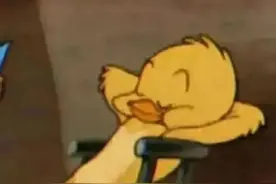 猫和老鼠表情包合集图片