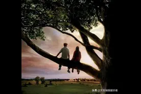 《怦然心动》电影剧情阐述图片