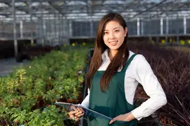 短篇小说：败家的娘们图片