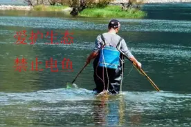 因为有这些危害，所以国家禁止“电鱼”图片