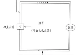 养肺等于养命！肺不仅管呼吸，还管尿尿，肺的四大功能要知道图片
