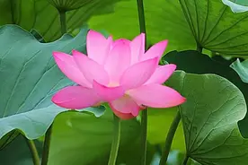 易经：一个人，家风好，终生受益图片