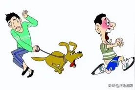 饲养的宠物咬伤别人，责任怎么承担？图片