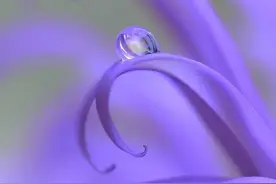 “知己”是什么？这是最诗意的回答图片