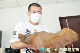 传说中的“太岁”？延吉市民在某工地挖出“肉灵芝”图片