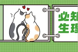 一张图了解6个猫咪羞羞哒性知识图片