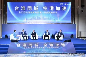 空港核心区之上 阳光湖樾重启人居封面图片