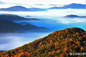 哈尔滨金龙山森林公园(五花山海城市后花园)图片