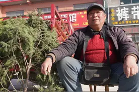 农民大哥种下7亩柏树，弃之不管，10年后成为取之不尽的发财地图片