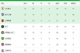 申花VS天津首发浮现：恒大3大旧将坐镇，国足队长领衔，杨旭冲锋图片