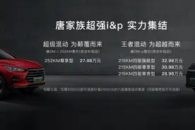 混动SUV天花板唐DM-p正式上市 售价28.98万-32.98万元图片