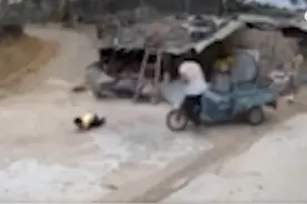 爷爷奶奶带娃 | 山东日照：爷爷倒车意外从3岁孙子身上碾过图片