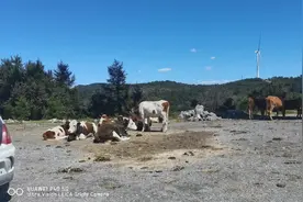 美好时光图片
