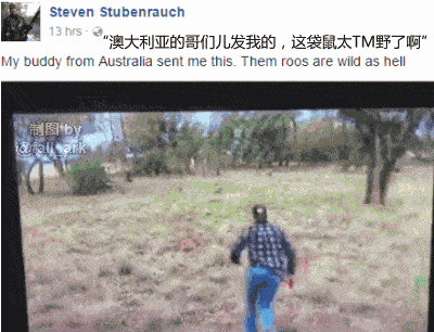 搞笑趣图：大哥，你这一拳直接把袋鼠干懵逼了啊图片