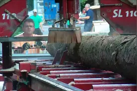 太先进了！美国新型号木材切割机，只需一人，轻松将木头锯成木片图片