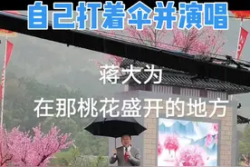 76岁蒋大为回国捞金，露天场地冒雨演唱，两首歌出场费70万元图片