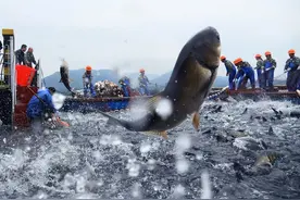 曾被人“嫌弃”的7种鱼，有人拿来喂鸭子，也有人为寻它上山下水图片