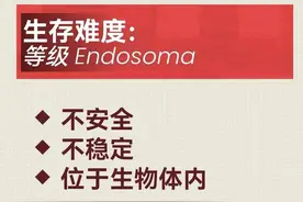 后室-LEVEL-C-88-处于生物体内图片