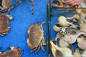 开海后第一波生猛海鲜进入南宁市场，皮皮虾打对折，花蟹、海蟹降了10~50元图片