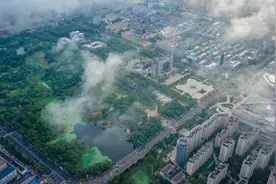 留在莱芜，挺好！图片