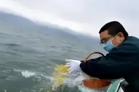 将父亲骨灰撒向大海，福建男子被警方罚2万，法院：私自海葬不行图片