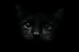 盘点八种昂贵的“黑色神兽”，黑鸡也能价值一套房？黑虎仅剩6只图片