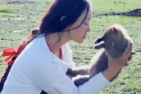 2010年，美女画家把狼当“儿”养，再见时两两相望，结局催人泪下图片