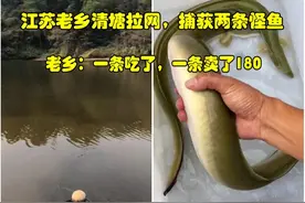 江苏老乡清理废弃山塘捕获两条珍稀“溪鳗”，老乡：一条卖了180图片