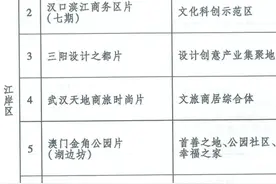 32个重点城市更新单元之江岸区：更新单元介绍及范围图片
