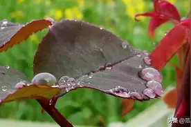 小心啊，就在我们身边，隐藏着一个魔鬼叫“创伤后应激障碍”图片