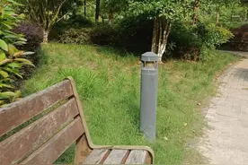 强直性脊柱炎是为什么图片