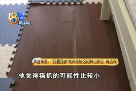 租客养了多只宠物，“我爱我家”打包价？图片