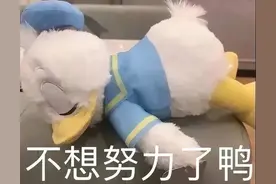 可爱小鸭子表情包图片