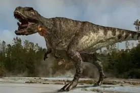 动物世界：恐龙家族中的霸主——霸王龙图片