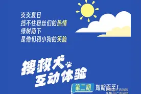 “汪汪队”粉丝见面会！热烈的爱，给超凡的狗狗！图片