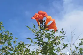 十首诗词感受父爱如山，总有一首让你泪流满面图片