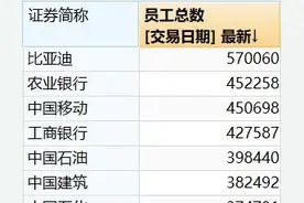 制造业VS金融，比亚迪57万员工薪酬611亿，工行42万员工1435亿！图片