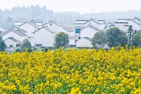 老祖宗忠告：“出门遇三事，必定有灾祸”，指哪3事？早看早知道图片